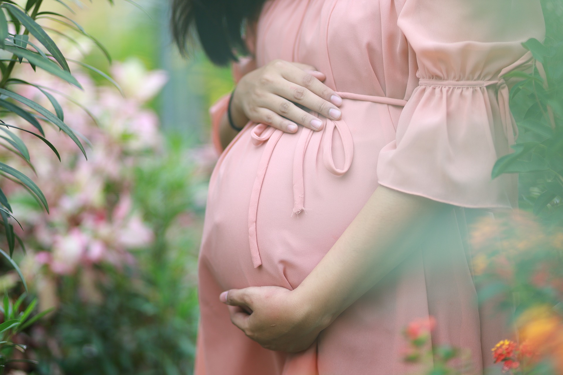 pregnant-g501dfcc5a_1920
